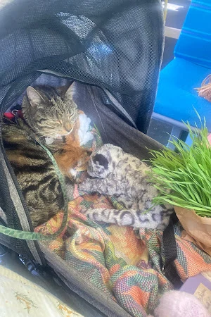 Nelly's Pet Supplies & Plants (formerly Paws & Claws)