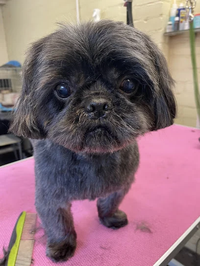 Norton Dog Groomers