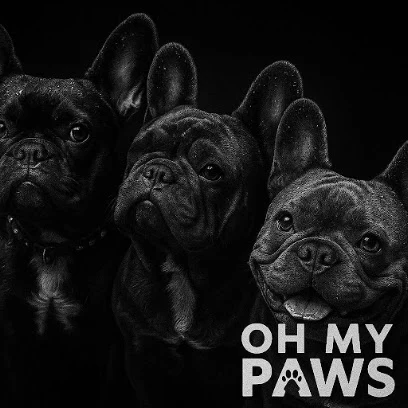 Oh My Paws Dog Boutique & Spa