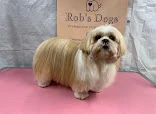 Olivia's Place Dog Grooming Service