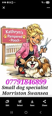 Pampered Pooch Morriston