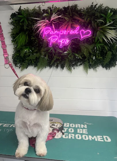 Pampered Pups