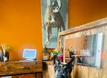 Paw 2 Paw