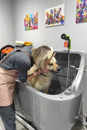 Paw Perfection Bespoke Dog Grooming