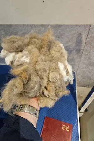 Pawfect Touch Dog & Cat grooming
