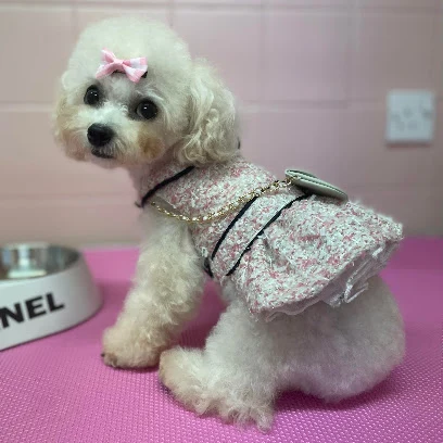 Pawfection Spa ltd