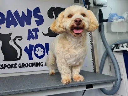 Paws At Yours