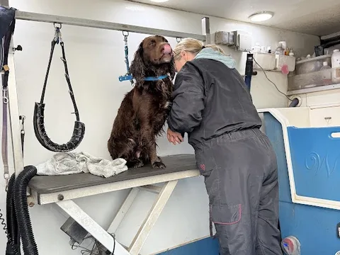 Paws Galore Mobile Dog Grooming