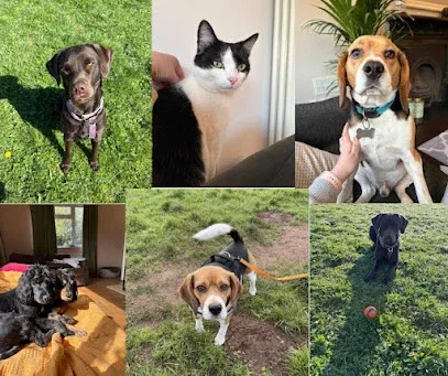 Paws On The Go Pet Services