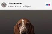 pawsforaphoto