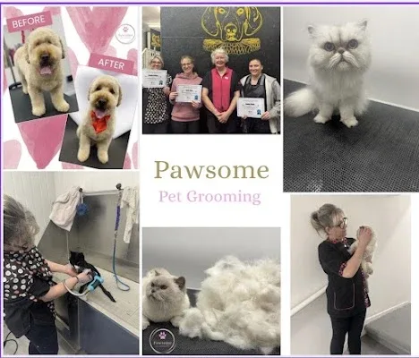 Pawsome Dog & Cat groomer