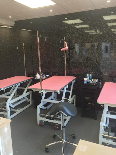 Perfect Pooches Grooming Salon and Spa