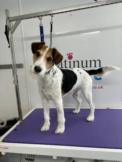 Platinum Petcare Ltd