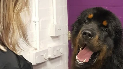 Pooch parlour