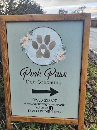Posh Paws Dog Grooming, Bettisfield