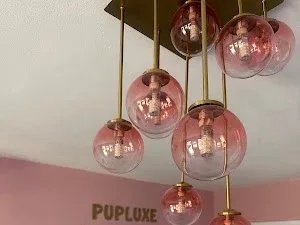 Pupluxe Grooming Lounge