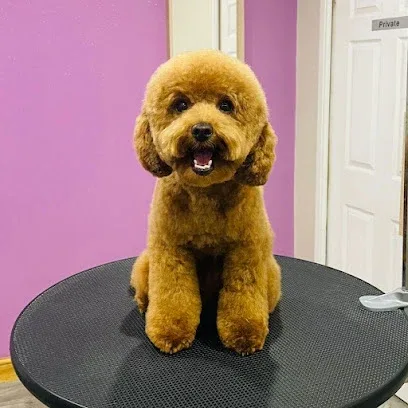 Pupperazi Raw Supplies, Dog Grooming Parlour & Fertility Clinic