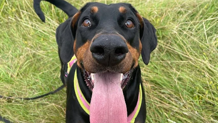 Puppy Tales Pet Services