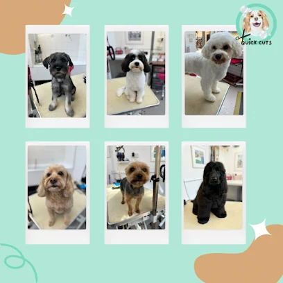 Quick Cuts Dog Grooming
