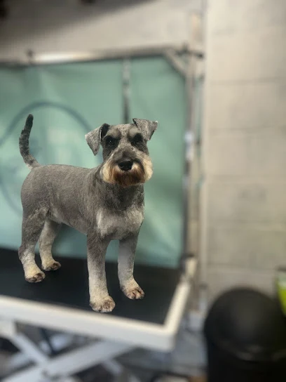 Robyn Of Pawsley Dog Grooming @ Northampton Pets