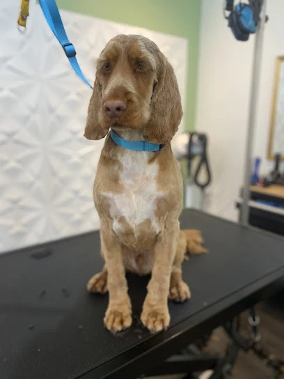 Rolo’s Dog Grooming Parlour