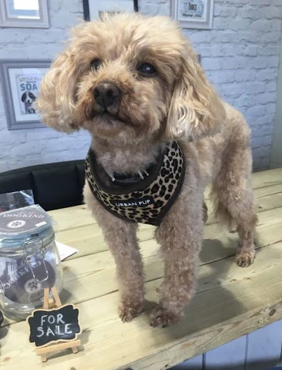 Ruby Dos Dog Grooming and Boutique Ltd