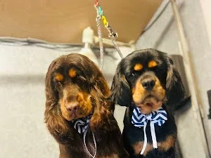 Ruff & Woof Dog Grooming