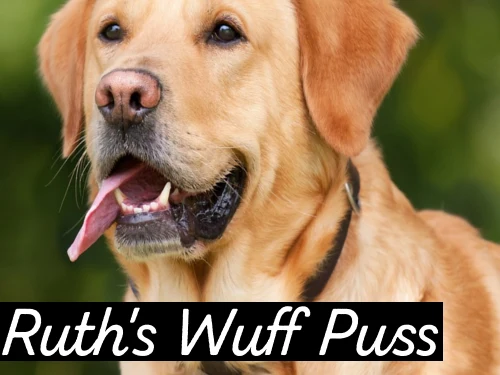 Ruth's Wuff Puss