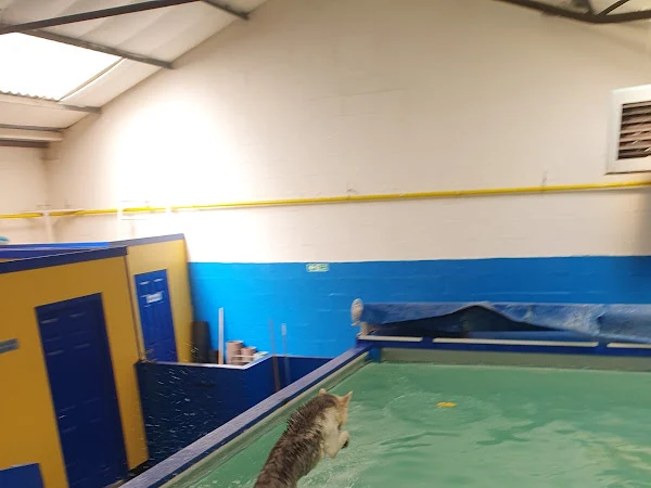 Scoobys Doggy Day Care & Spa Northampton
