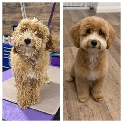 Scruff Busters Dog Grooming - Boston