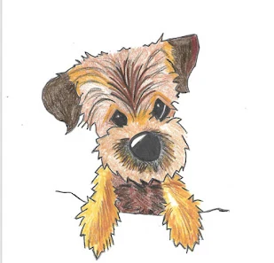 Scruffipups