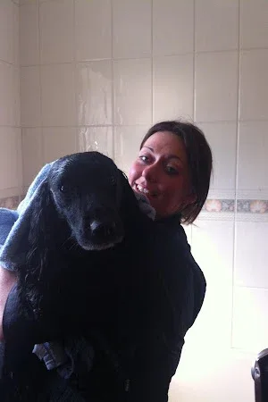 Scruffy Herbert’s mobile dog grooming