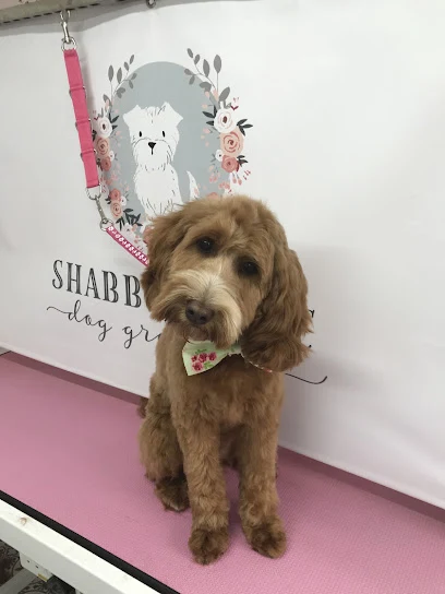 Shabby 2 Chic