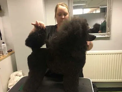 Shaggy To Sleek mobile grooming