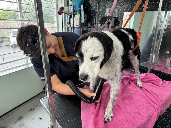 Shampooch Dog Grooming