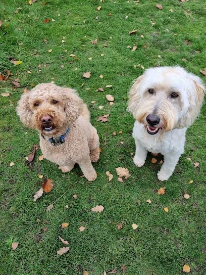 Shampooches