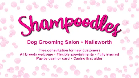 Shampoodles