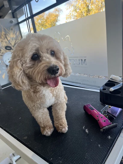 Short Bark & Sides Groomers