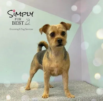 Simply Fur Best Grooming & Dog Services