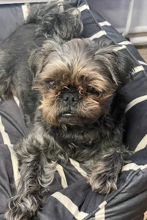 Simply Pets & Grooming