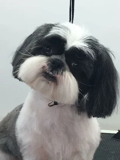 SJ Poochie Parlour