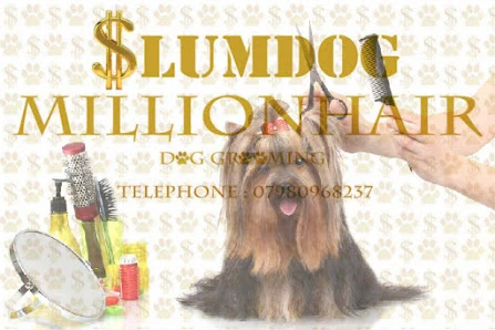 Slumdog Millionhair