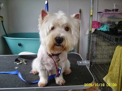 Smart Dogs Grooming Parlour