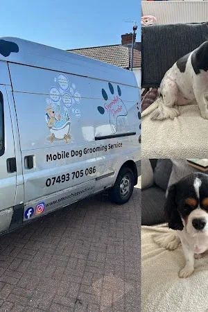Smoochie Poochie Mobile Dog Grooming
