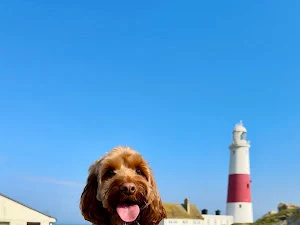 Sniff & Co. Dog Grooming