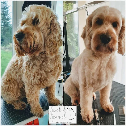 Spick & Spaniel Dog Grooming