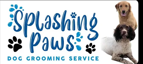 Splashing paws