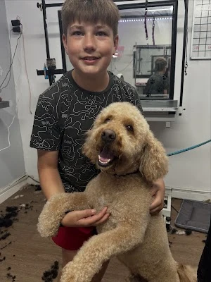 Spoilt Rotten Dog & Cat Groomer & Accessories