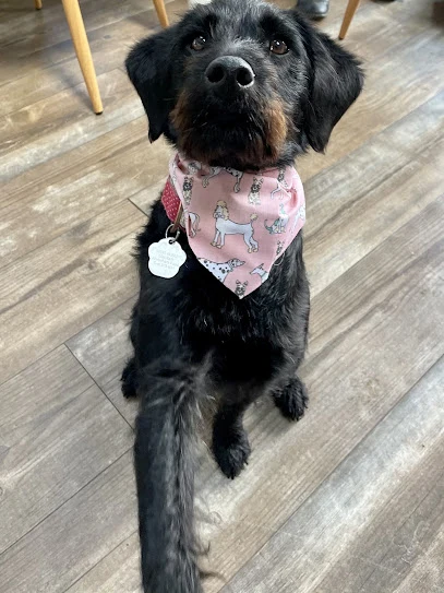 Styal-ish Paws Dog grooming