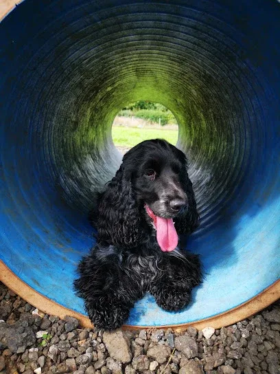 Sudwoofers